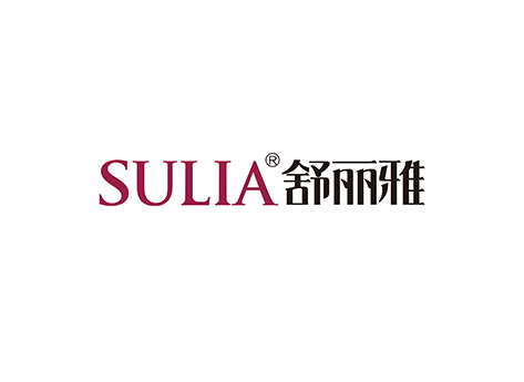 舒丽雅家私 VI